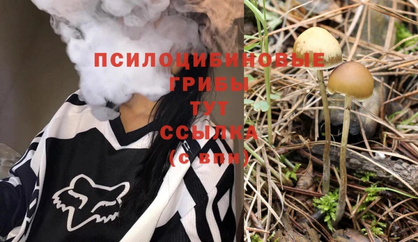 кристаллы Абаза
