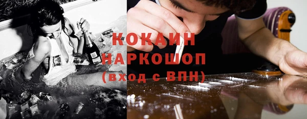ешки Алексин