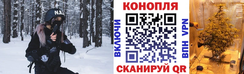 Шишки марихуана ГИДРОПОН  Курлово 
